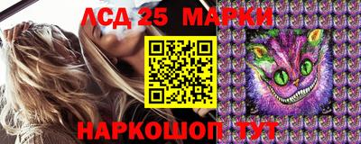 индика Кимры