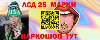 молекула духа Кингисепп