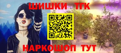 молекула духа Кингисепп