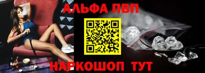 молекула духа Кингисепп