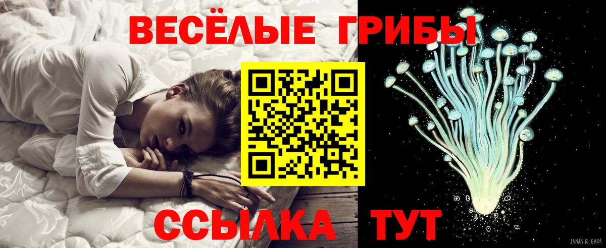 Псилоцибиновые грибы мицелий Кемерово